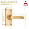 Brass Door Handle with Plate - Polish Lacquered