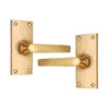 Brass Door Handle with Plate - Polish Lacquered