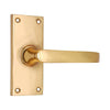 Brass Door Handle with Plate - Polish Lacquered