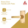 Brass Door Handle with Plate - Polish Lacquered