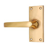 Brass Door Handle with Plate - Polish Lacquered