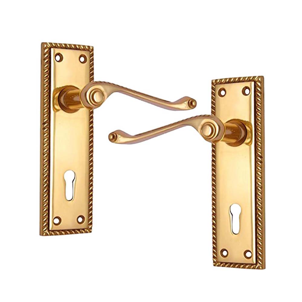 Brass Door Handle with Plate - Polish Lacquered