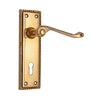 Brass Door Handle with Plate - Polish Lacquered