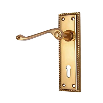 Brass Door Handle with Plate - Polish Lacquered