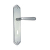 Brass Door Handle with Plate - Satin Nickel