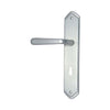 Brass Door Handle with Plate - Satin Nickel