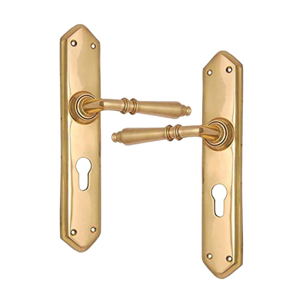 Brass Door Handle with Plate - Polish Lacquered