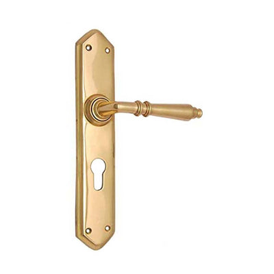 Brass Door Handle with Plate - Polish Lacquered