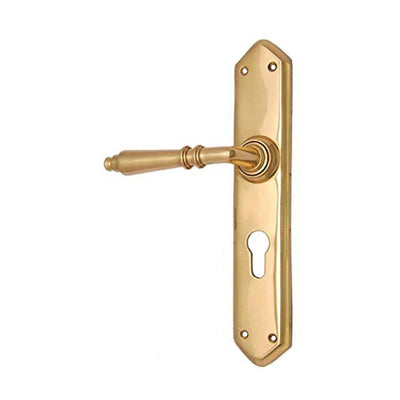 Brass Door Handle with Plate - Polish Lacquered