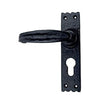 Black Iron Door Handle with Plate - Black Powder Coated