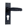 Black Iron Door Handle with Plate - Black Powder Coated