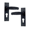 Black Iron Door Handle with Plate - Black Powder Coated