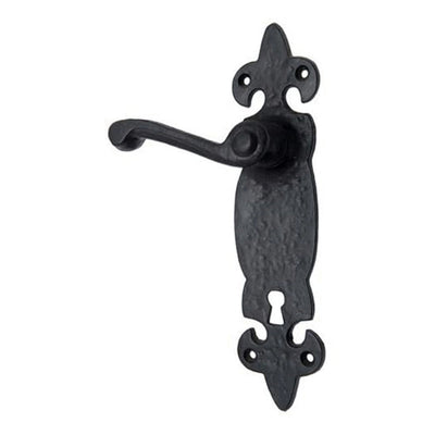 Black Iron Door Handle with Plate - Black Powder Coated Finish