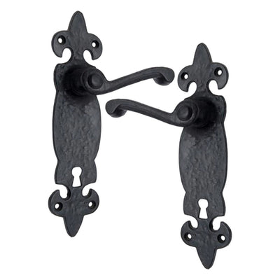 Black Iron Door Handle with Plate - Black Powder Coated Finish