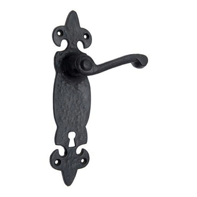 Black Iron Door Handle with Plate - Black Powder Coated Finish