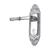 Brass Door Handle with Plate - Polished Chrome