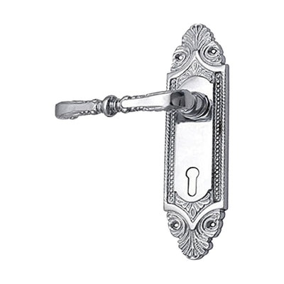 Brass Door Handle with Plate - Polished Chrome