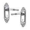 Brass Door Handle with Plate - Polished Chrome