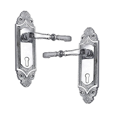 Brass Door Handle with Plate - Polished Chrome