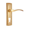 Brass Door Handle with Plate - Polish Lacquered