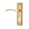 Brass Door Handle with Plate - Polish Lacquered