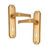 Brass Door Handle with Plate - Polish Lacquered