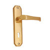 Brass Door Handle with Plate - Polish Lacquered