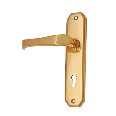 Brass Door Handle with Plate - Polish Lacquered