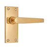 Brass Door Handle with Plate - Polish Lacquered