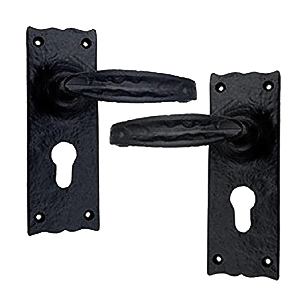 Black Iron Door Handle with Plate - Black Powder Coated Finish