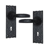 Black Iron Door Handle with Plate - Black Powder Coated Finish