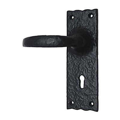 Black Iron Door Handle with Plate - Black Powder Coated Finish