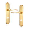 Brass Door Handle with Plate - Polish Lacquered