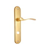 Brass Door Handle with Plate - Polish Lacquered