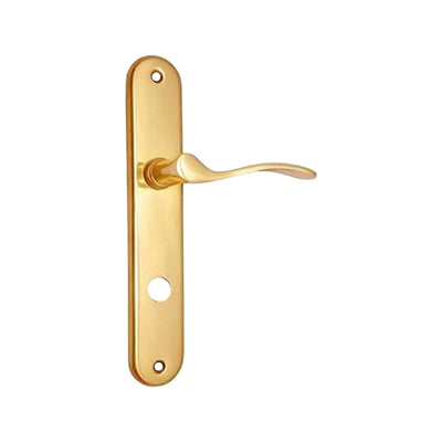 Brass Door Handle with Plate - Polish Lacquered