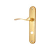 Brass Door Handle with Plate - Polish Lacquered