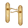 Brass Door Handle with Plate - Polish Lacquered