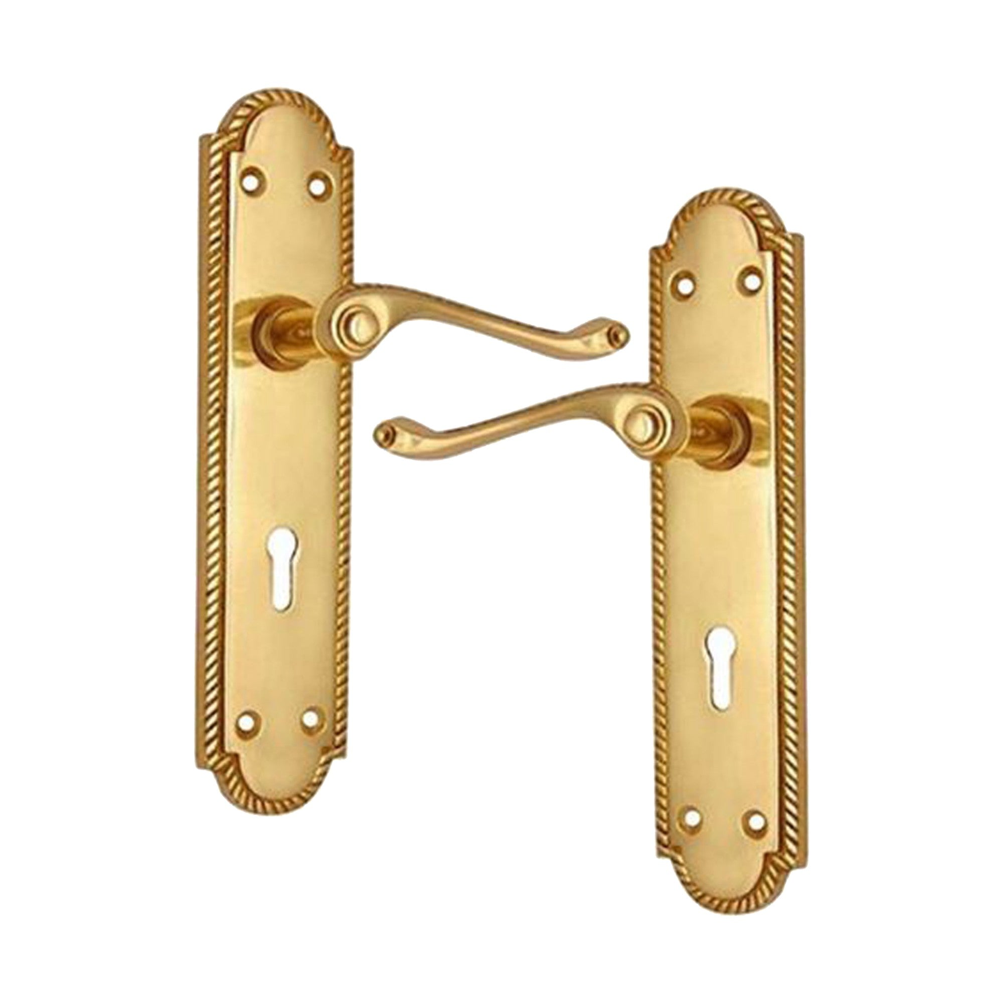 Brass Door Handle with Plate - Polish Lacquered