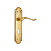 Brass Door Handle with Plate - Polish Lacquered