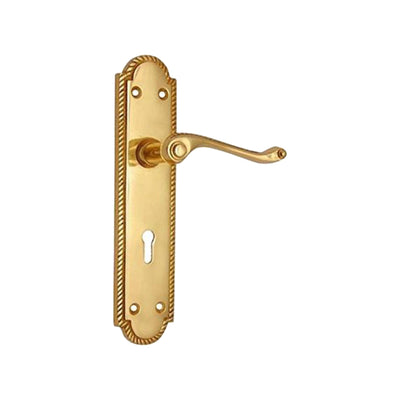 Brass Door Handle with Plate - Polish Lacquered