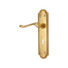 Brass Door Handle with Plate - Polish Lacquered