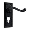 Black Iron Door Handle with Plate - Black Powder Coated Finish