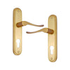 Brass Door Handle with Plate - Polish Lacquered