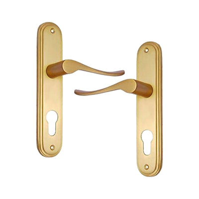 Brass Door Handle with Plate - Polish Lacquered