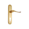 Brass Door Handle with Plate - Polish Lacquered