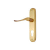 Brass Door Handle with Plate - Polish Lacquered