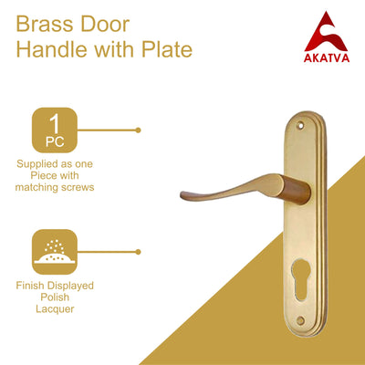 Brass Door Handle with Plate - Polish Lacquered