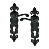 Black Iron Door Handle with Plate - Black Powder Coated Finish