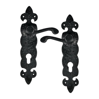 Black Iron Door Handle with Plate - Black Powder Coated Finish