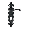 Black Iron Door Handle with Plate - Black Powder Coated Finish